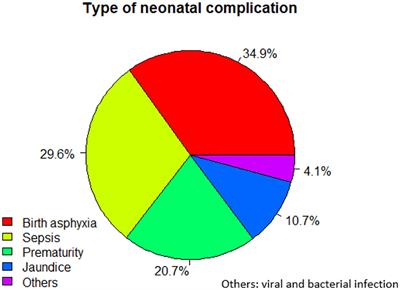 Determinants of neonatal near-miss among neonates delivered in public hospitals of Ilu Abba Bor Zone, Southwest Ethiopia: An unmatched case–control study during the COVID-19 pandemic